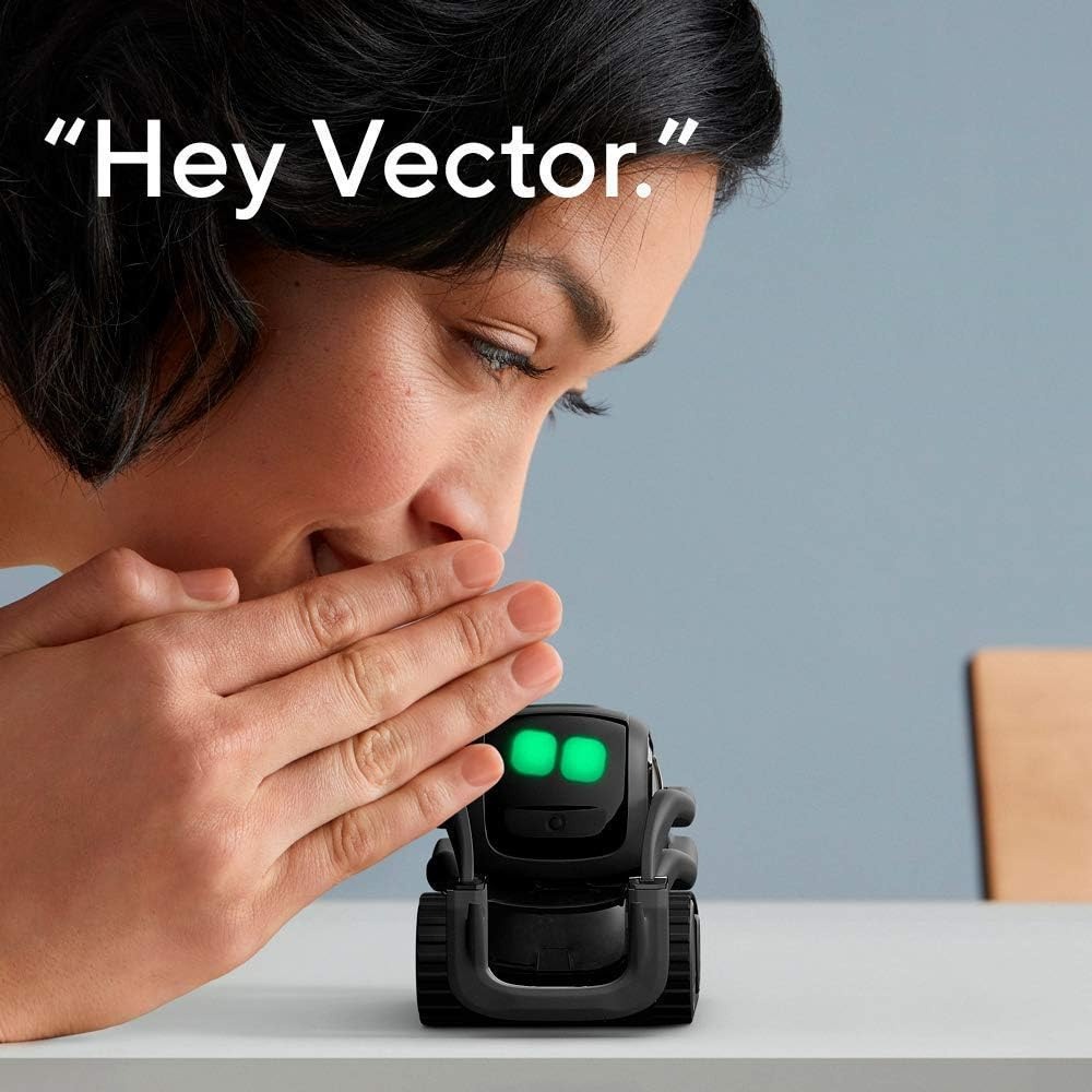 AI ChatGPT 2.0接続ロボットコンパニオン、顔認識 - Remote Control Toys のレビューと価格